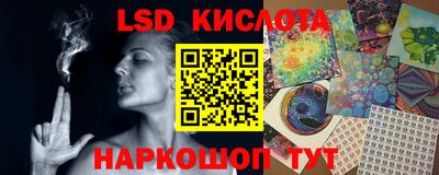 крисы Аргун