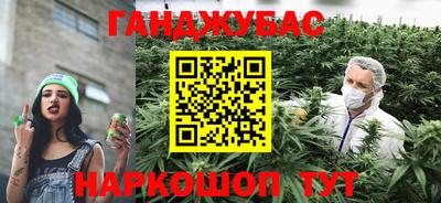 крисы Аргун