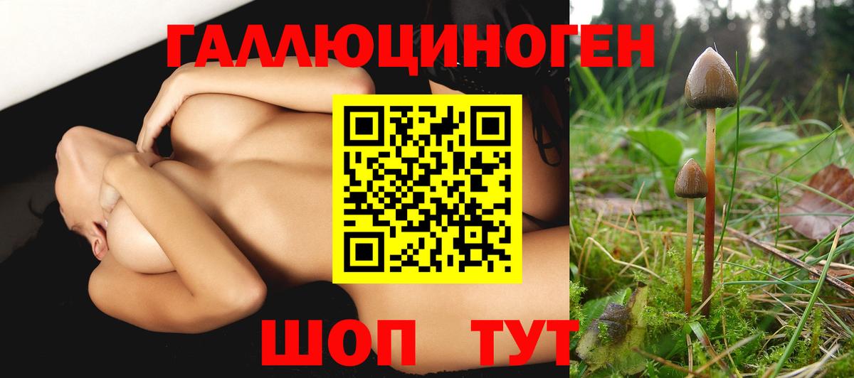 Псилоцибиновые грибы Psilocybine cubensis  Псилоцибиновые грибы Psilocybine cubensis  Бузулук  Вход с VPN 